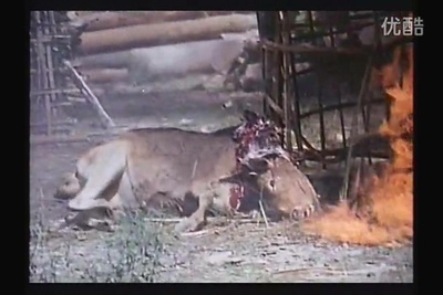 闪电行动剧照的剧照