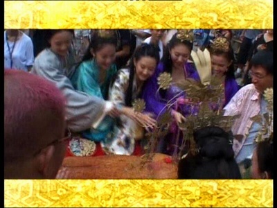 妃子笑剧照的剧照