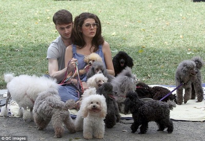 生活残骸剧照的剧照