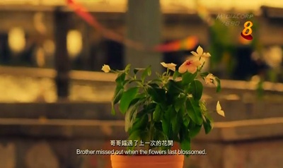 我们都不完美剧照的剧照