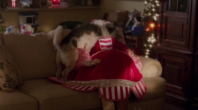 亲爹回来了剧照的剧照