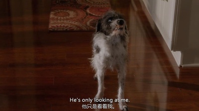 亲爹回来了剧照的剧照