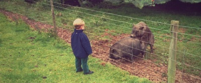 假期历险记剧照的剧照