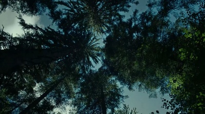 自杀森林剧照的剧照