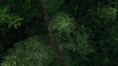 自杀森林剧照的剧照