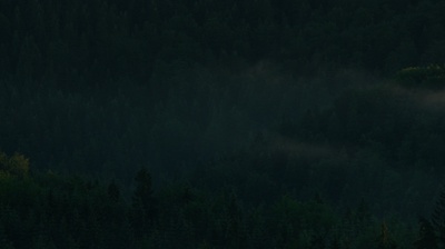 自杀森林剧照的剧照