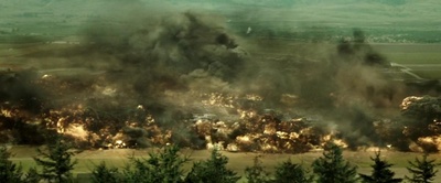 躲藏剧照的剧照