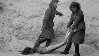 夜幕会降临剧照的剧照