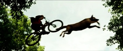 军犬麦克斯剧照的剧照