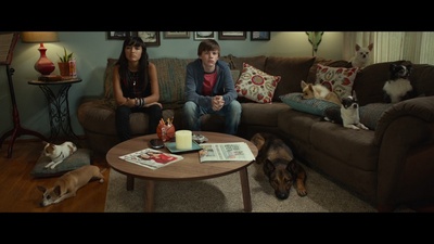 军犬麦克斯剧照的剧照