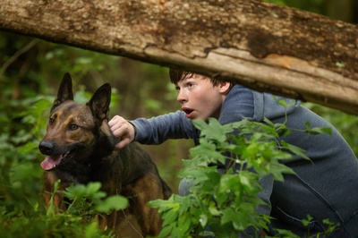 军犬麦克斯剧照的剧照