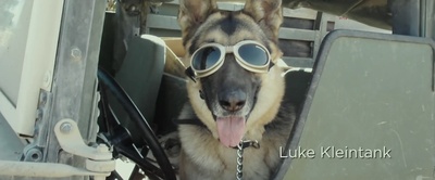 军犬麦克斯剧照的剧照