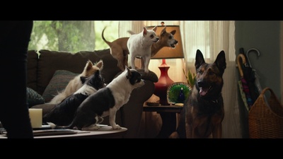 军犬麦克斯剧照的剧照