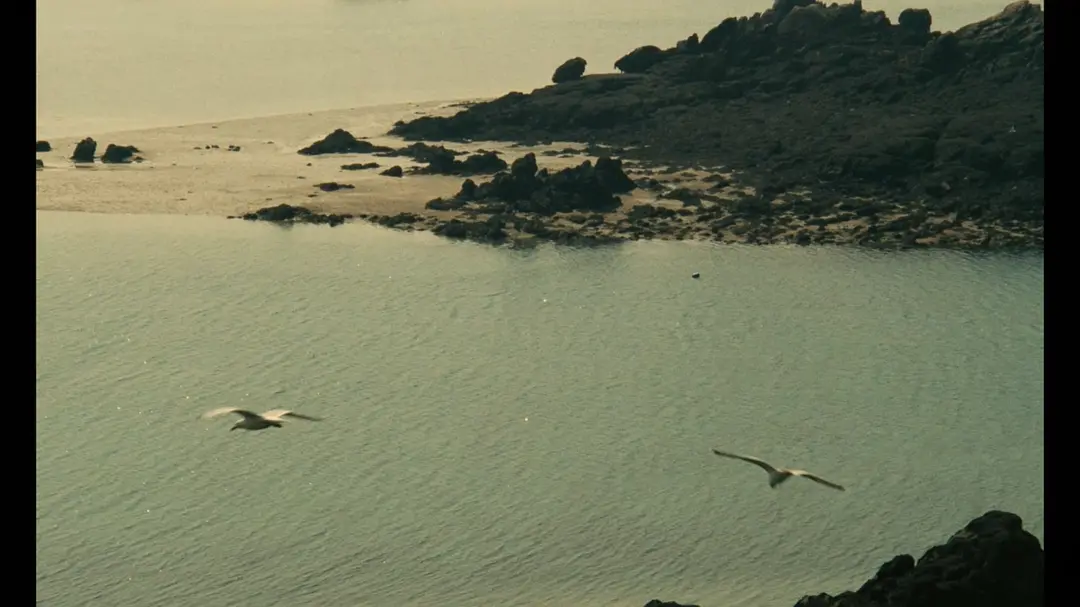 功夫大师剧照的剧照