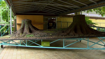 瓦格纳和我剧照的剧照