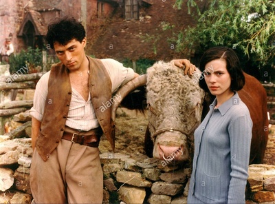 难以宽慰的农庄剧照的剧照