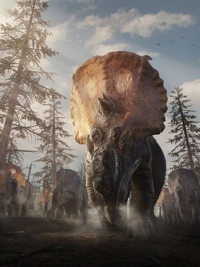 恐龙的行军剧照的剧照