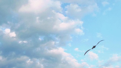 恐龙的行军剧照的剧照