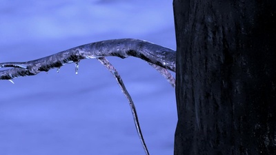 恐龙的行军剧照的剧照