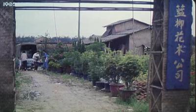 远山情剧照的剧照