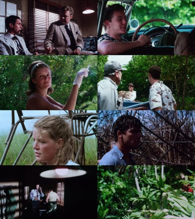 杀气冲天剧照的剧照