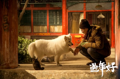 过年好剧照的剧照