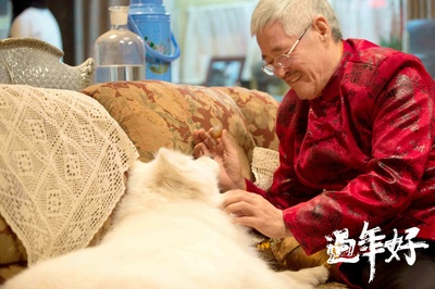 过年好剧照的剧照