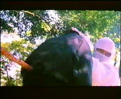 猛龍煞星剧照的剧照