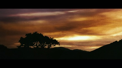 不一样的本能剧照的剧照