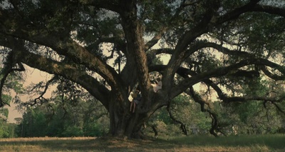 芳心之罪剧照的剧照