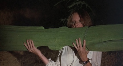 傻瓜大闹科学城剧照的剧照