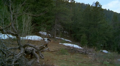 傻瓜大闹科学城剧照的剧照