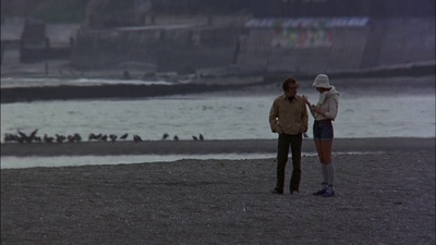 呆头鹅剧照的剧照