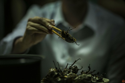 红衣小女孩剧照的剧照