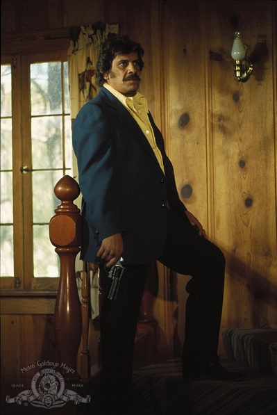 猛龙铁金刚剧照的剧照