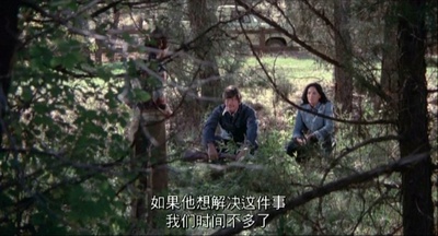 猛龙铁金刚剧照的剧照