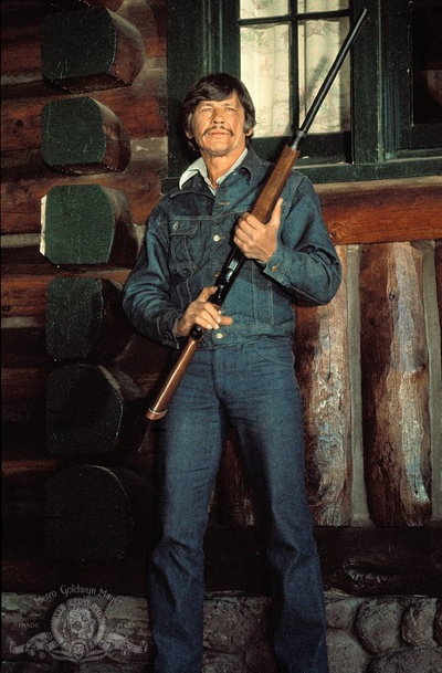 猛龙铁金刚剧照的剧照