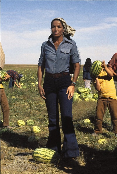 猛龙铁金刚剧照的剧照