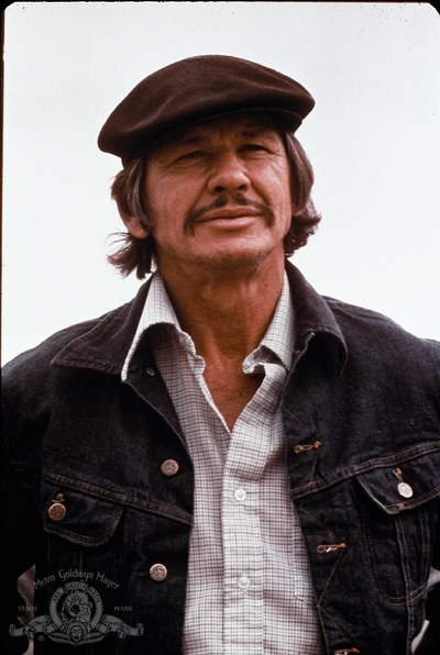 猛龙铁金刚剧照的剧照