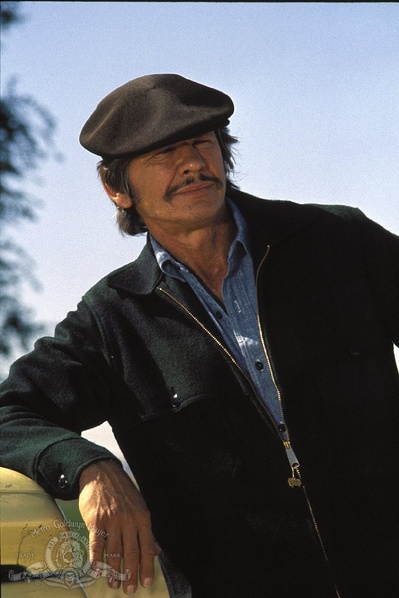 猛龙铁金刚剧照的剧照