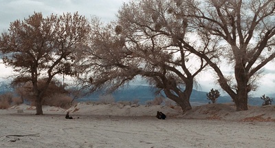 大佬剧照的剧照