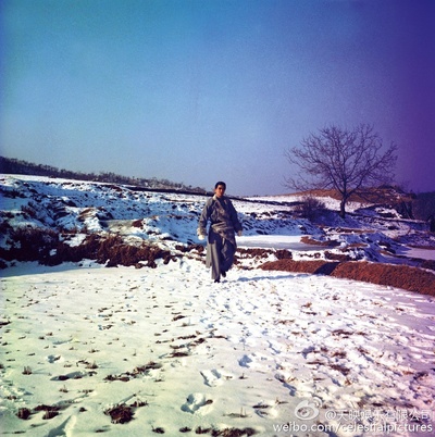 龙虎斗剧照的剧照