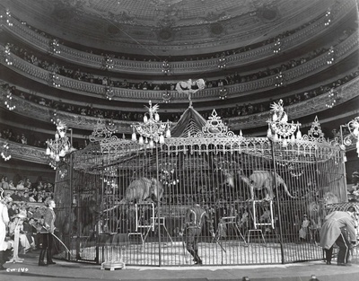 大马戏团剧照的剧照