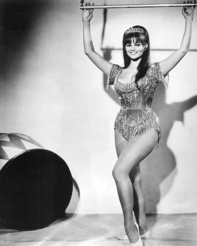 大马戏团剧照的剧照