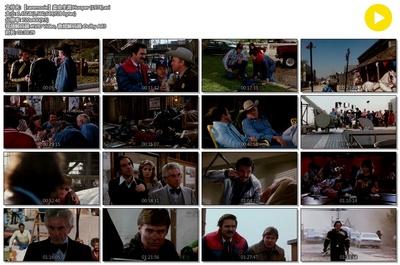 卖命生涯剧照的剧照