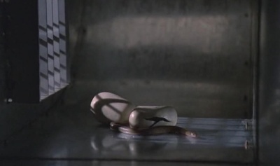 魔鬼访客剧照的剧照