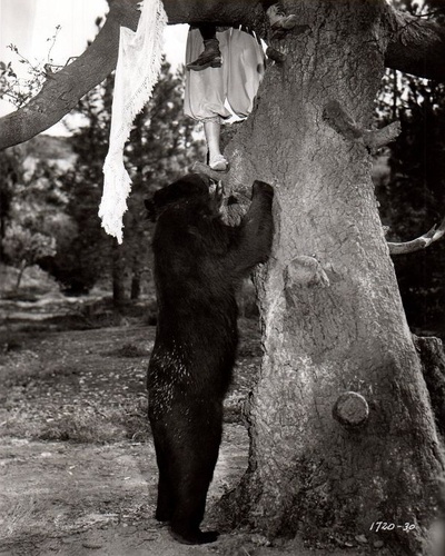 带我进城剧照的剧照