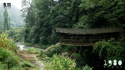 1980年代的爱情剧照的剧照