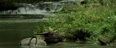 1980年代的爱情剧照的剧照