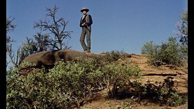 荒漠怪客剧照的剧照